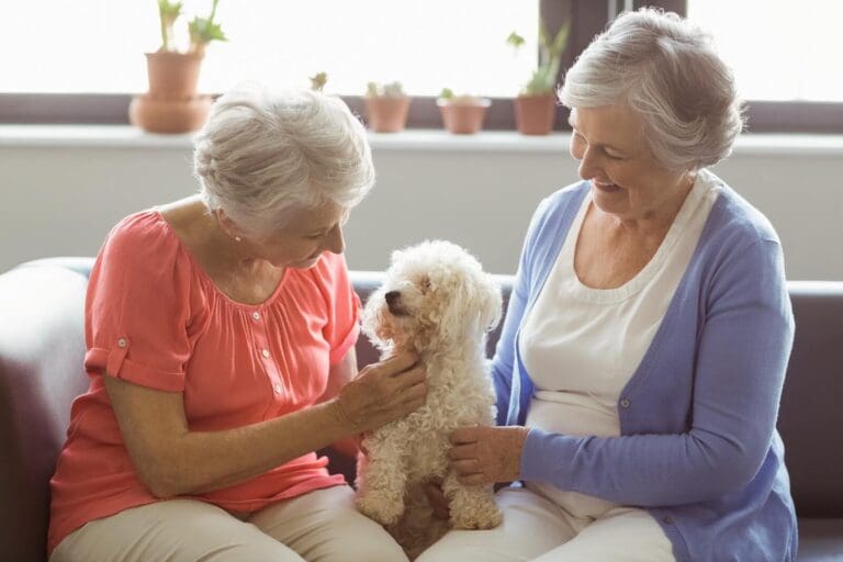 Two older adult women are sitting on a couch with a small curly-haired dog between them. They are petting the dog.